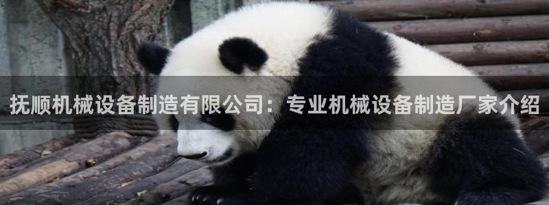 彩神VII购彩中心：抚顺机械设备制造有限公司：专业机械设备制造厂家介绍
