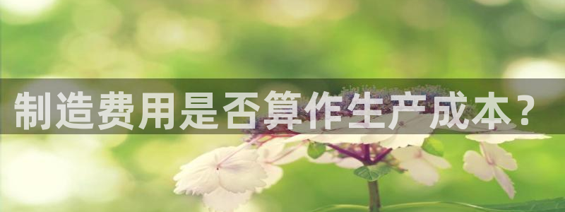 彩神v争霸是啥