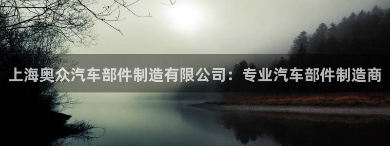 彩神v8是真的挣钱吗知乎：上海奥众汽车部件制造有限公司：专业