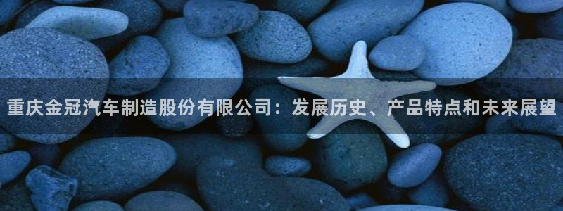 彩神VII官方版：重庆金冠汽车制造股份有限公司：发展历史、产品特点和未来展望