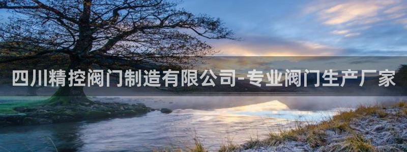 彩神大发是不是人为操作：四川精控阀门制造有限公司-专业阀门生
