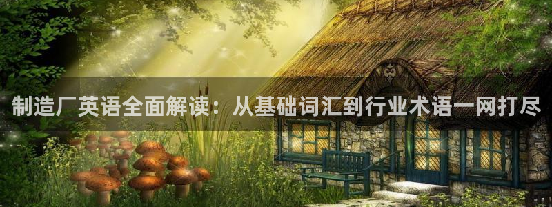 大发彩神最高邀请码：制造厂英语全面解读：从基础词汇到行业术语