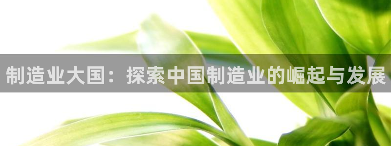 彩神8是正规平台吗是正品吗