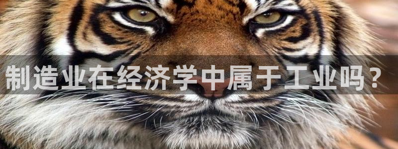 大发彩神争：制造业在经济学中属于工业吗？