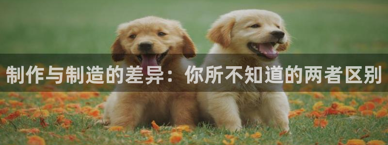 彩神8app官方下载：制作与制造的差异：你所不知道的两者区别