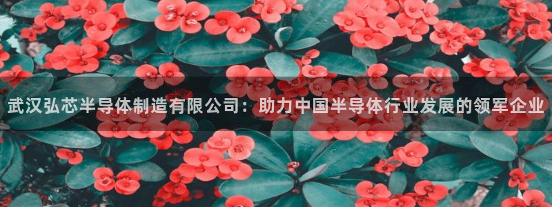 彩神8官网版是正规的吗：武汉弘芯半导体制造有限公司：助力中国