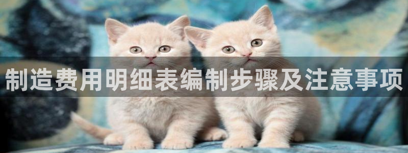彩神v天天：制造费用明细表编制步骤及注意事项