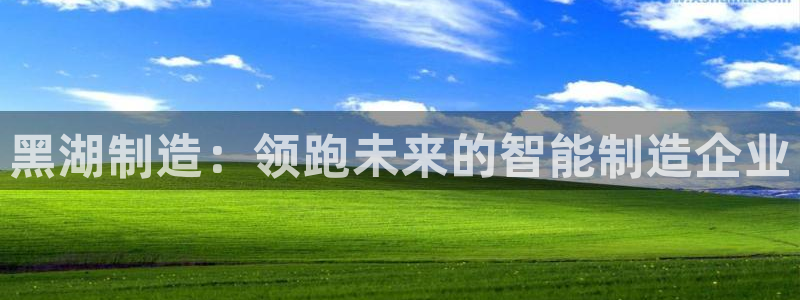 下载彩神通关注码