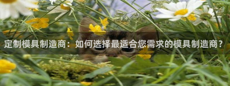 彩神v8有多久了?靠谱吗