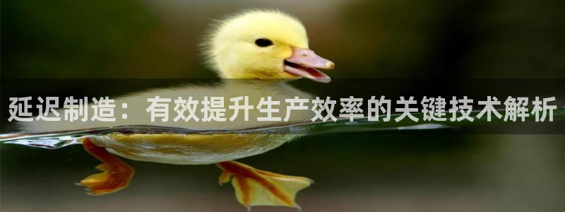 彩神v8客户端：延迟制造：有效提升生产效率的关键技术解析