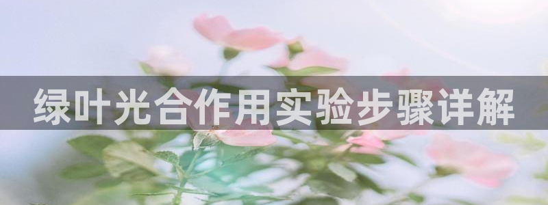 彩神网合法吗：绿叶光合作用实验步骤详解