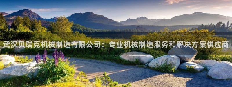 彩神旗下有哪些平台：武汉贝瑞克机械制造有限公司：专业机械制造