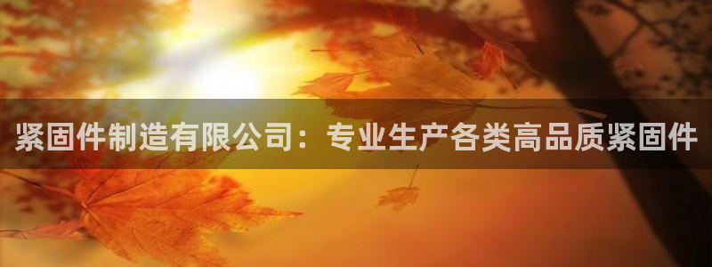 彩神v彩搜狗