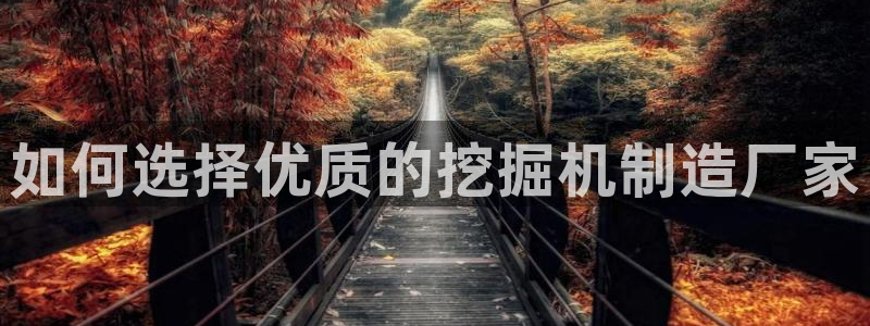 彩神VII购彩中心：如何选择优质的挖掘机制造厂家