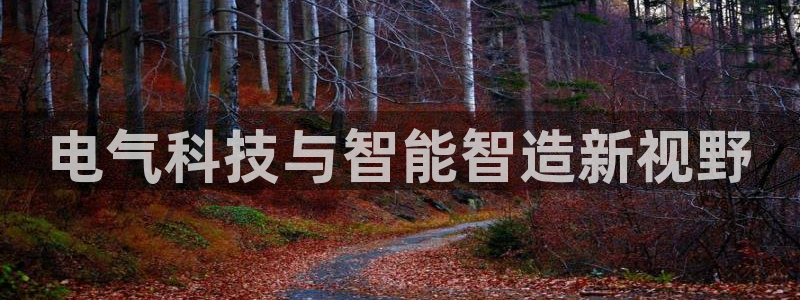 彩神vl购彩大厅：电气科技与智能智造新视野