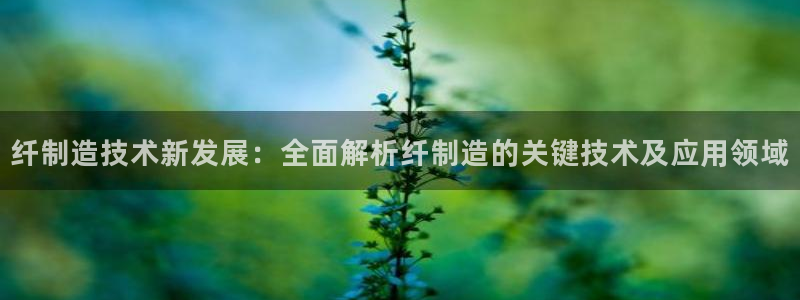 彩神v平台