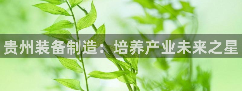 彩神这个平台是真的吗：贵州装备制造：培养产业未来之星