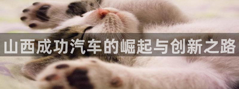 彩神用户登录