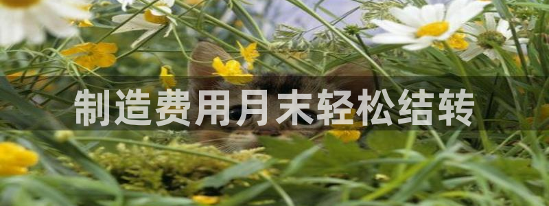 彩神赢了钱登录不上去