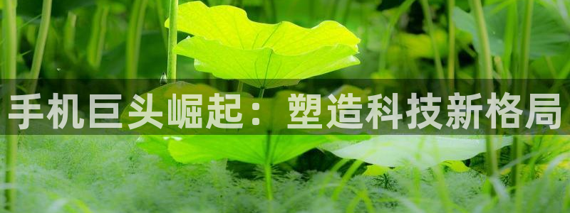 彩神平台可以破解吗