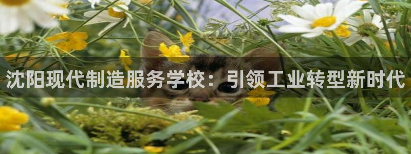 彩神vⅲ下载安装