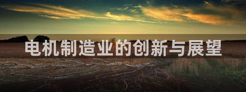 彩神大发是不是人为操作：电机制造业的创新与展望