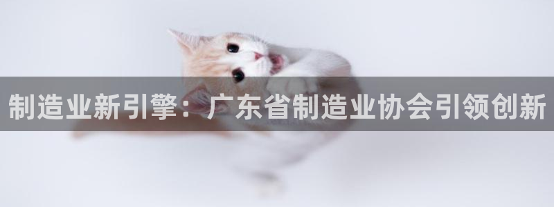 彩神v8几个版本