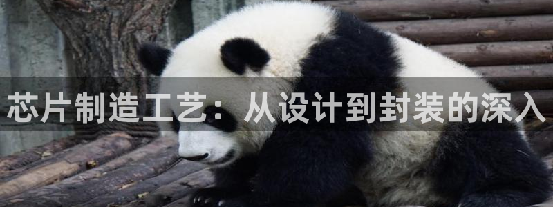 彩神大发官网