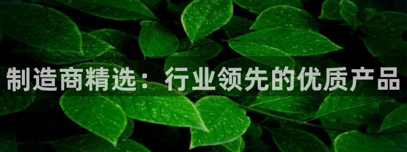 彩神ⅴll是什么样平台：制造商精选：行业领先的优质产品