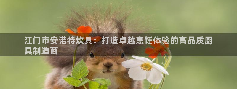 彩神Vii购彩-购彩大厅：江门市安诺特炊具：打造卓越烹饪体验