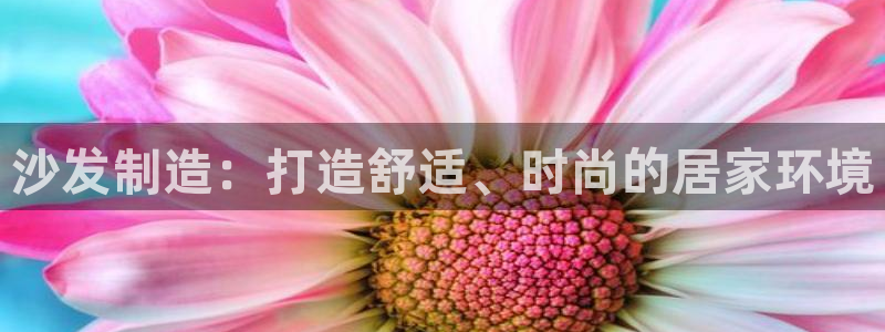 彩神v破解版