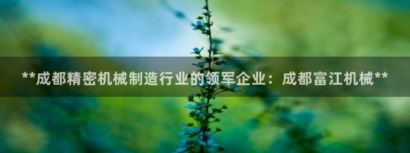 彩神怎么才能赢：**成都精密机械制造行业的领军企业：成都富江