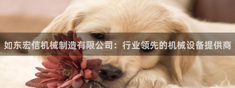 彩神通官网下载