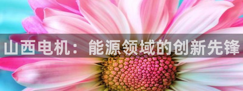 彩神盈利图片