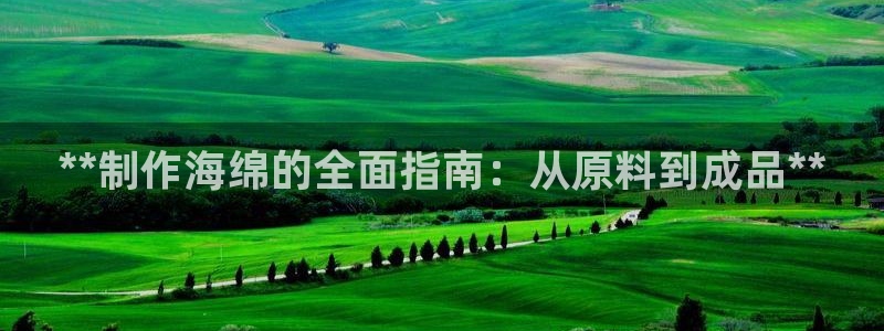 彩神V集团公司