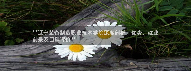 彩神v8手机客户端怎么下载：**辽宁装备制造职业技术学院深度剖析：优势、就业
前景及口碑评价**