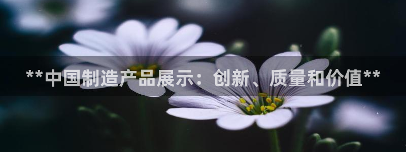 彩神大发黑平台