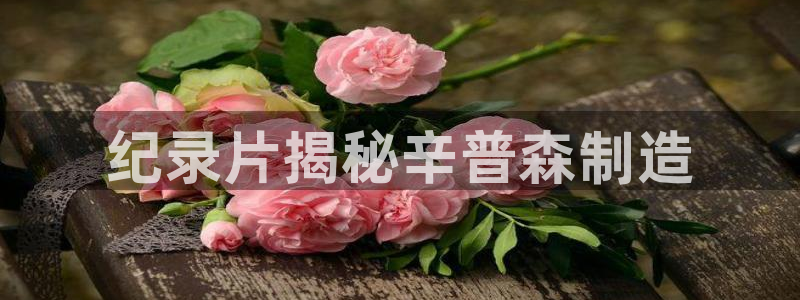 彩神是怎样一个平台