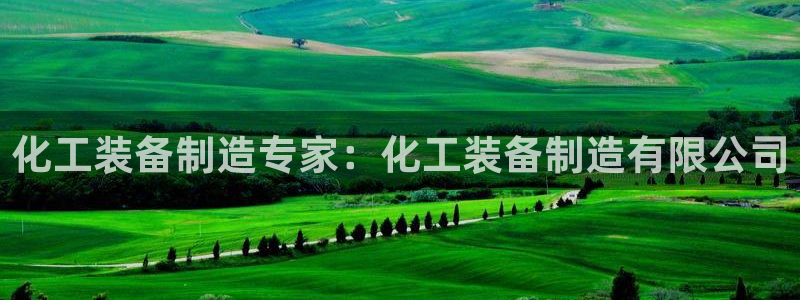 彩神v8是一个什么平台游戏