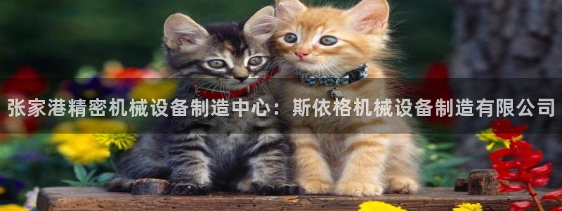 彩神通官方网：张家港精密机械设备制造中心：斯依格机械设备制造有限公司