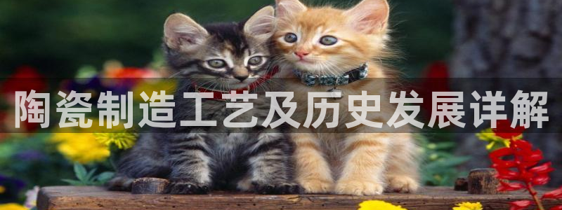 彩神vii官网大赢家：陶瓷制造工艺及历史发展详解