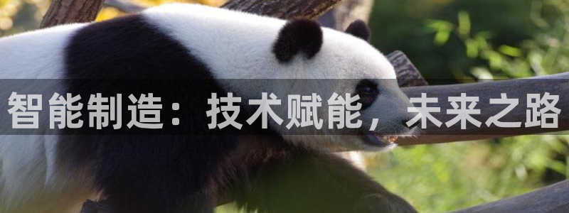 彩神app赚钱是真是假：智能制造：技术赋能，未来之路