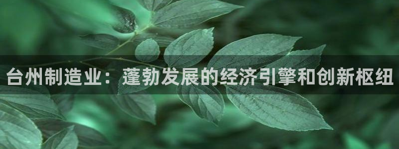 彩神vii官网：台州制造业：蓬勃发展的经济引擎和创新枢纽