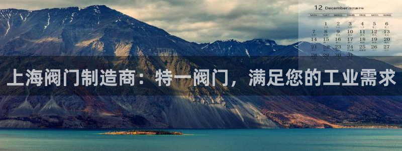 彩神通官网下载：上海阀门制造商：特一阀门，满足您的工业需求