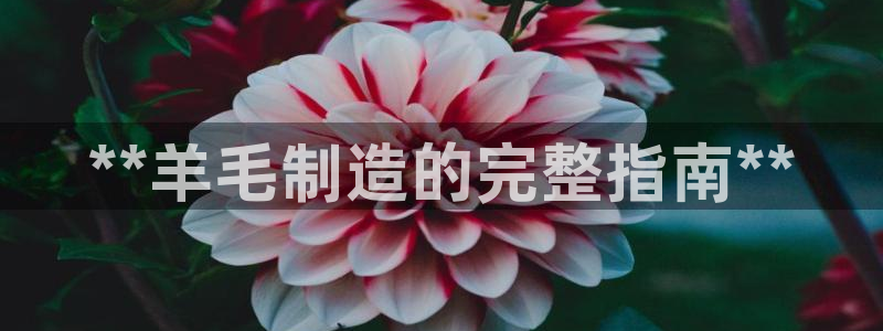 彩神购彩-购彩大厅入口娱乐首选