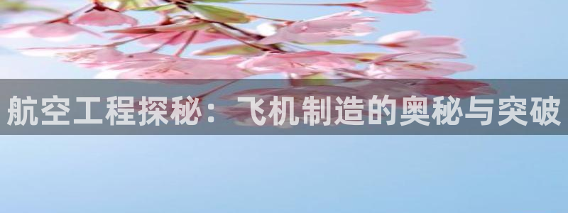 彩神viii是正规平台吗?：航空工程探秘：飞机制造的奥秘与突破
