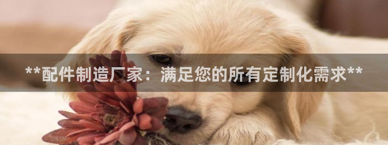彩神趣购彩用户注册：**配件制造厂家：满足您的所有定制化需求**