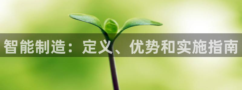 彩神是真的吗：智能制造：定义、优势和实施指南