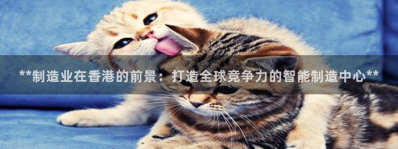 彩神v8几个版本：**制造业在香港的前景：打造全球竞争力的智能制造中心**