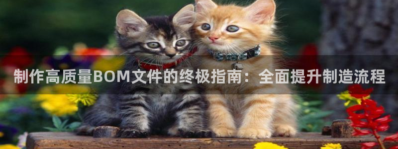 大发彩神争：制作高质量BOM文件的终极指南：全面提升制造流程